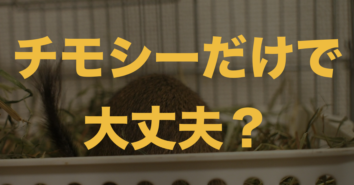 デグーが痩せてしまうときの対処方法を徹底解説