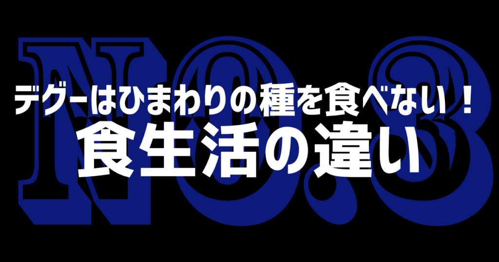 デグーはひまわりの種を食べない！食生活の違い