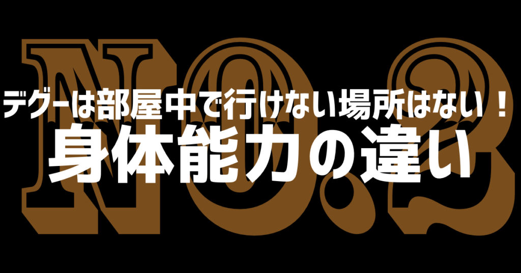 デグーは部屋中でいけない場所はない！身体能力の違い