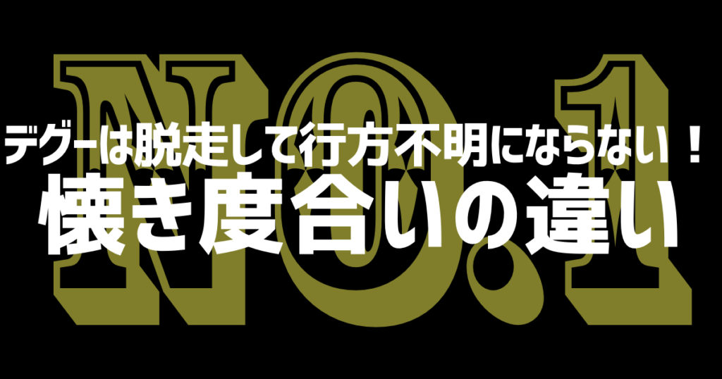 脱走して行方不明にならない！デグーは圧倒的に懐く