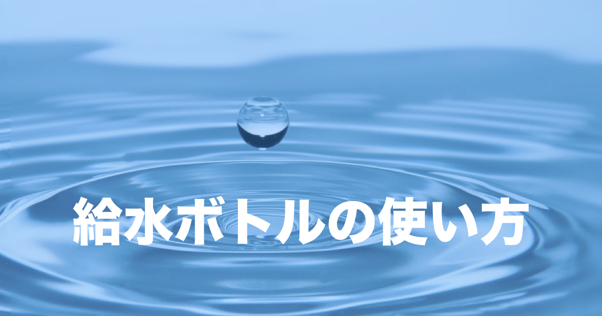 デグーと飲み水について徹底解説