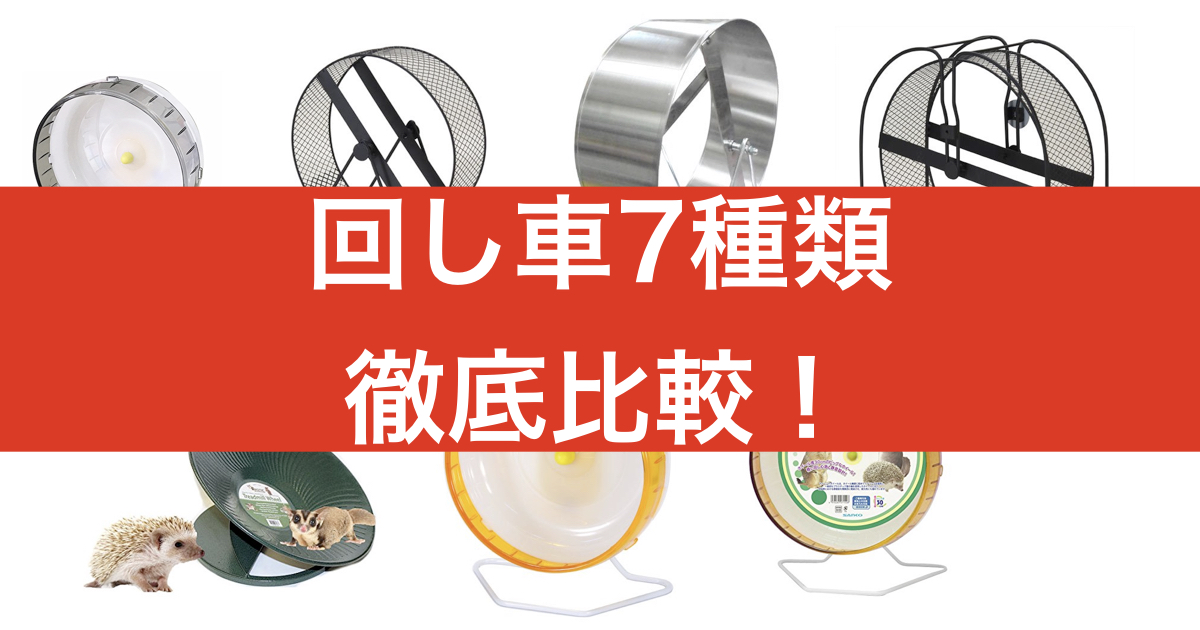 テグー用回し車について徹底解説【サイレントホイール・メタルサイレント】