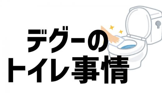 デグーのトイレ事情について徹底解説